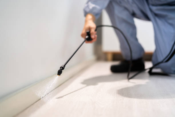 Licensed Pest Control service in Salem, WV - Show Me Pest Control